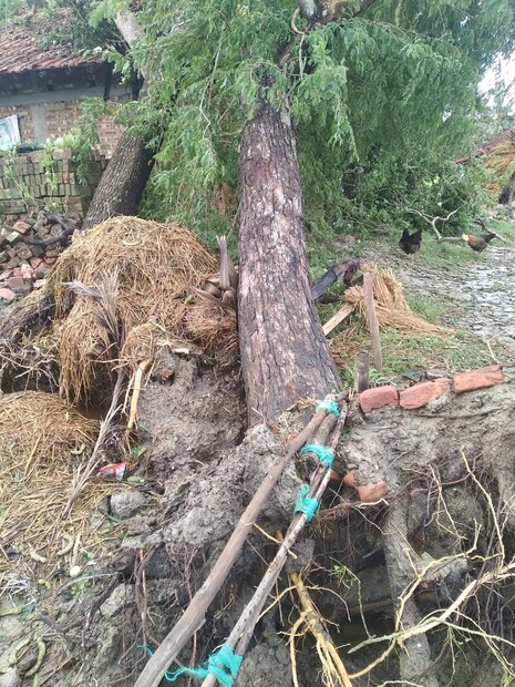 রবিবার ক্ষতিগ্রস্থ এলাকাগুলি খতিয়ে দেখে রাজ্য সরকার বুলবুলের কারণে যে ক্ষয়ক্ষতির খতিয়ান পেশ করেছে সেই অনুযায়ী, ২৬ হাজার বাড়ি আংশিক ক্ষতিগ্রস্ত ৷ ২৪৭৩ টা বাড়ি সম্পূর্ণ ধূলিসাৎ ৷