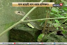 সাপে ভয়, কিন্তু যাঁরা সাপ ধরেন তাঁদের সাপ নিয়ে ট্রেনিংয়ে দেওয়া হচ্ছে বাধা! সাপে ভয়, কিন্তু যাঁরা সাপ ধরেন তাঁদের সাপ নিয়ে ট্রেনিংয়ে দেওয়া হচ্ছে বাধা!