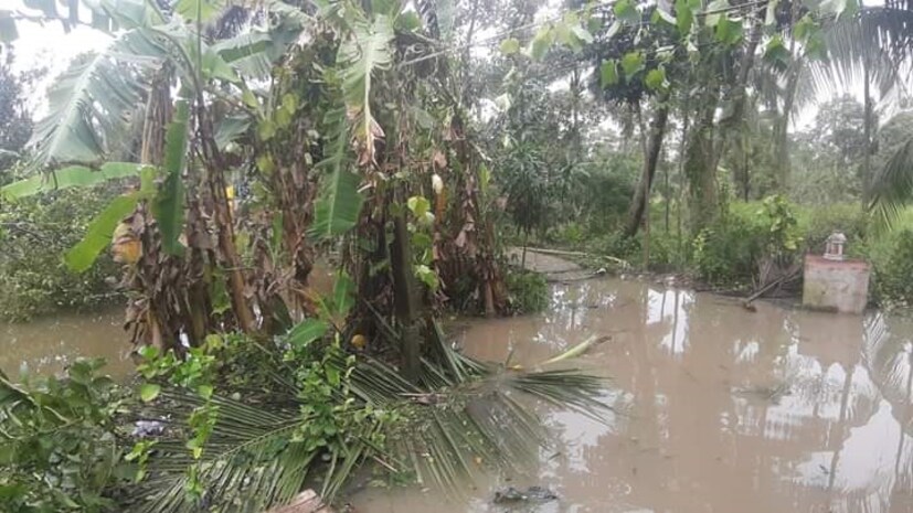 বুলবুল-এর দাপটে ব্যাপক ক্ষয়ক্ষতি উত্তর ২৪ পরগনায়৷ সুন্দরবন লাগোয়া হিঙ্গলগঞ্জে প্রচুর ক্ষতি হয়েছে৷ ভেঙেছে কাঁচাবাড়ি, ধান-সবজি চাষে ক্ষতি৷ সন্দেশখালিতে ধান ও সবজি চাষে ক্ষতি৷ হাসনাবাদেও ভেঙেছে কাঁচাবাড়ি৷ ঝড়ের দাপটে ভেঙে পড়েছে গাছ৷