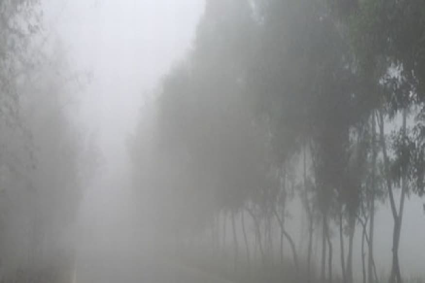বুধবার রাজ্যজুড়ে মেঘলা আকাশ। হালকা থেকে মাঝারি বৃষ্টি হবে পশ্চিম মেদিনীপুর, ঝাড়গ্রাম, পশ্চিম বর্ধমান, বাঁকুড়া, পুরুলিয়া, বীরভূমে । বৃহস্পতিবার রাজ্যজুড়ে বৃষ্টির পূর্বাভাস। হালকা থেকে মাঝারি বৃষ্টির সম্ভাবনা কলকাতা শহরেও। বৃষ্টি হবে উত্তর ও দক্ষিণ বঙ্গের প্রায় সব জেলাতেই । প্রতীকী ছবি ৷ বুধবার রাজ্যজুড়ে মেঘলা আকাশ। হালকা থেকে মাঝারি বৃষ্টি হবে পশ্চিম মেদিনীপুর, ঝাড়গ্রাম, পশ্চিম বর্ধমান, বাঁকুড়া, পুরুলিয়া, বীরভূমে । বৃহস্পতিবার রাজ্যজুড়ে বৃষ্টির পূর্বাভাস। হালকা থেকে মাঝারি বৃষ্টির সম্ভাবনা কলকাতা শহরেও। বৃষ্টি হবে উত্তর ও দক্ষিণ বঙ্গের প্রায় সব জেলাতেই । প্রতীকী ছবি ৷