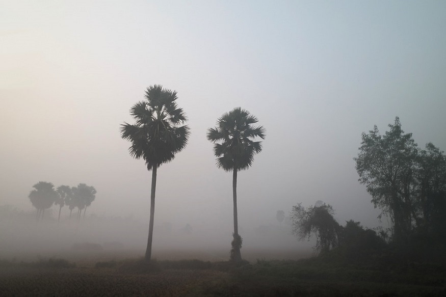 শুক্রবারেও দক্ষিণবঙ্গের দু'এক জেলায় বিক্ষিপ্তভাবে হালকা বৃষ্টি। উত্তরবঙ্গের দার্জিলিং কালিম্পং-এ বৃষ্টির পূর্বাভাস রয়েছে । উত্তরবঙ্গে বৃষ্টির সঙ্গে সঙ্গে করলে পরিস্থিতি এবং ঘন কুয়াশা চলবে । প্রতীকী ছবি ৷ শুক্রবারেও দক্ষিণবঙ্গের দু'এক জেলায় বিক্ষিপ্তভাবে হালকা বৃষ্টি। উত্তরবঙ্গের দার্জিলিং কালিম্পং-এ বৃষ্টির পূর্বাভাস রয়েছে । উত্তরবঙ্গে বৃষ্টির সঙ্গে সঙ্গে করলে পরিস্থিতি এবং ঘন কুয়াশা চলবে । প্রতীকী ছবি ৷