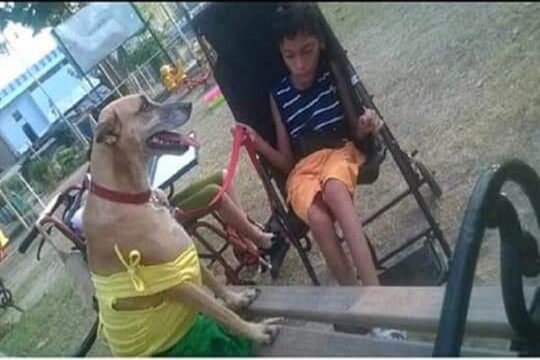 নিজস্ব চিত্র ৷