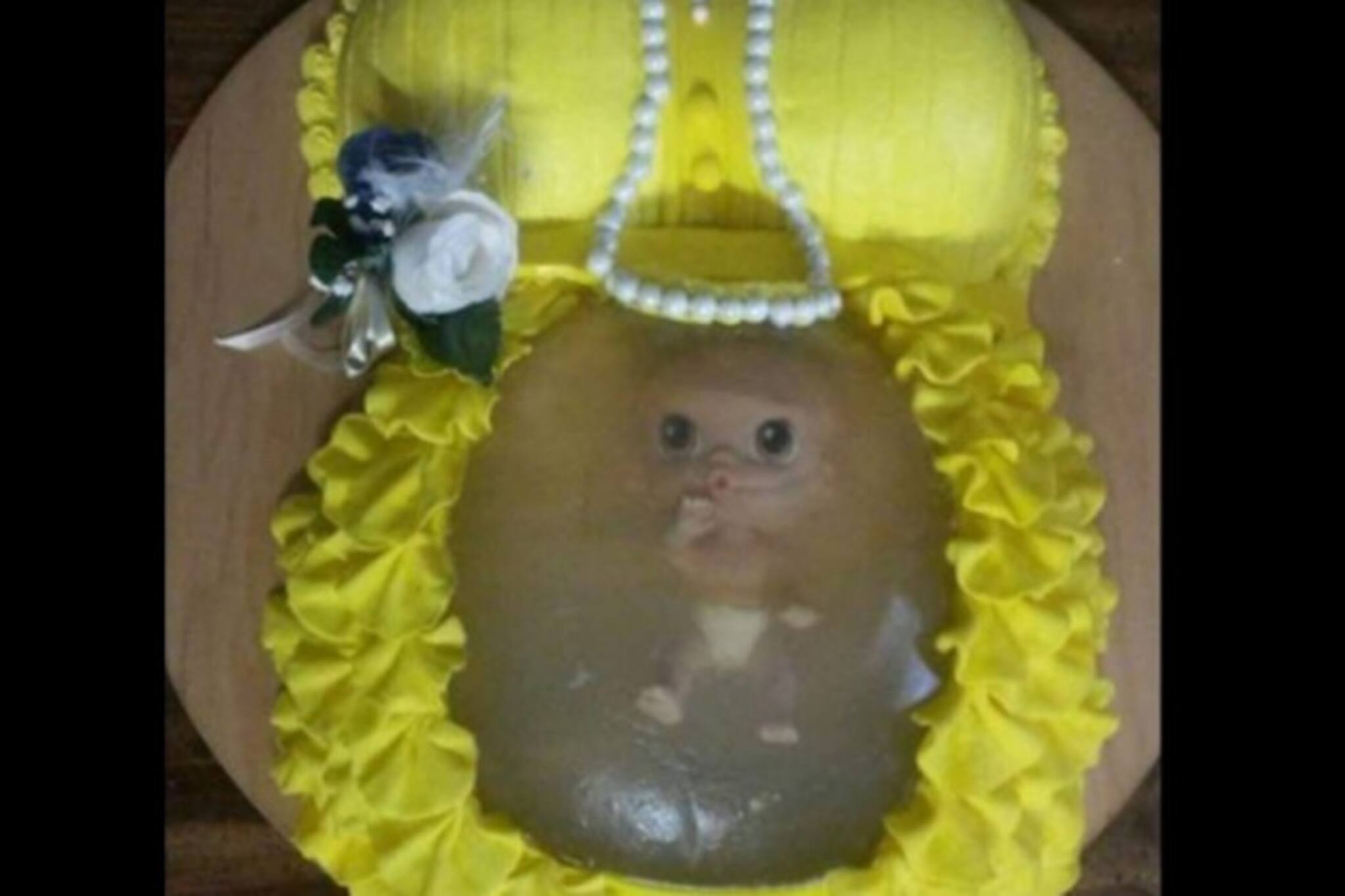 Shocking! কেকটির মধ্যে নড়ছে ভ্রুণ! কাটলেই ফ্লুইড-সহ বেরিয়ে পড়বে