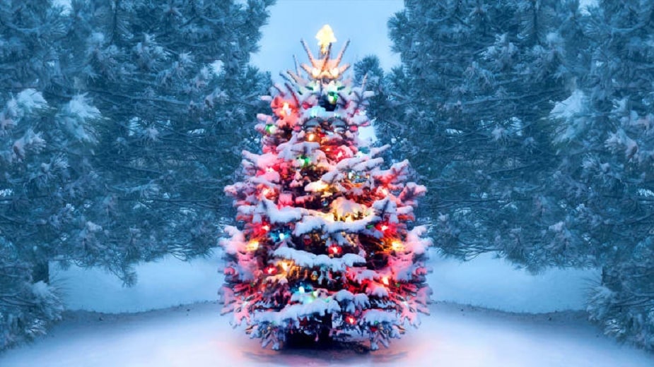 ক্রিসমাস ট্রি-র ইতিহাসের সঙ্গে জড়িয়ে রয়েছে আদম-ইভের নাম |history of Christmas  tree pb – News18 Bangla