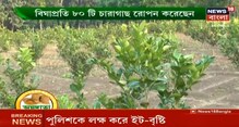 বাণিজ্যিকভাবে পাতিলেবুর চাষ হচ্ছে, লাভের মুখ দেখছেন চাষীরা বাণিজ্যিকভাবে পাতিলেবুর চাষ হচ্ছে, লাভের মুখ দেখছেন চাষীরা
