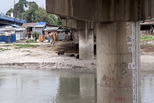 রাজ্যে নদী দূষণে এক নম্বর মহানন্দা।