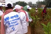 Egiye Bangla:চন্দ্রকোণায় বিশাল নার্সারি,গাছের জোগান দিয়ে মহিলারা আয়ের পথ খুঁজছেন