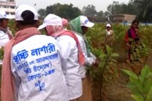 Egiye Bangla:চন্দ্রকোণায় বিশাল নার্সারি,গাছের জোগান দিয়ে মহিলারা আয়ের পথ খুঁজছেন