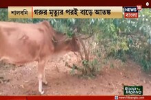 সিন্নি হয়েছিল গরুর দুধে, তারপর মারা গেল সেই গরু...দেখুন ভিডিও সিন্নি হয়েছিল গরুর দুধে, তারপর মারা গেল সেই গরু...দেখুন ভিডিও