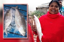 চড়া দাম, নতুন বছরে দিঘায় দেদার বিকোচ্ছে ইলিশ!