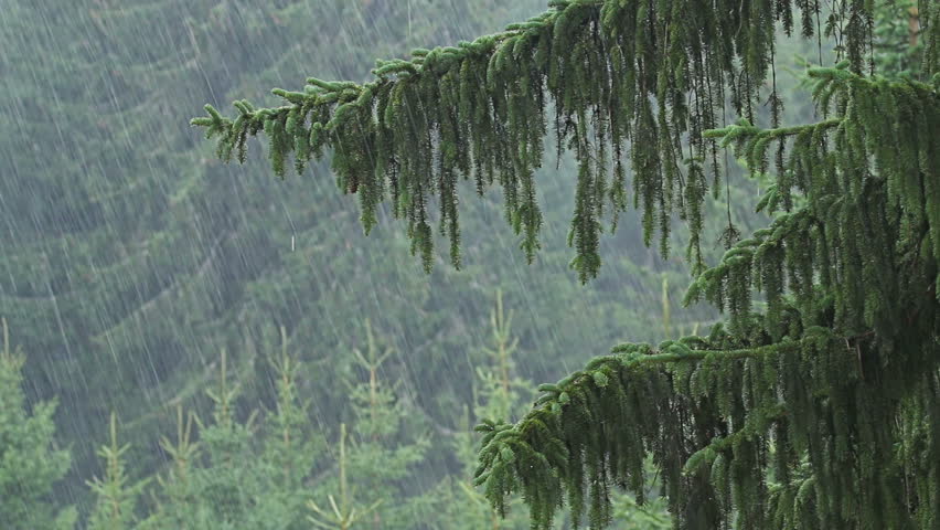 এক ধাক্কায় তাপমাত্রা ৪ ডিগ্রি বেড়ে আজ কার্যত শীতের আমেজ উধাও। রাতের তাপমাত্রা কোন পরিবর্তন হবে না শনিবার পর্যন্ত। এক ধাক্কায় তাপমাত্রা ৪ ডিগ্রি বেড়ে আজ কার্যত শীতের আমেজ উধাও। রাতের তাপমাত্রা কোন পরিবর্তন হবে না শনিবার পর্যন্ত।