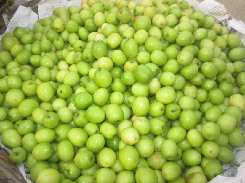 কোষ্ঠকাঠিন্য-সহ অন্যান্য হজমজনিত সমস্যার সমাধান করে এই ফল। 