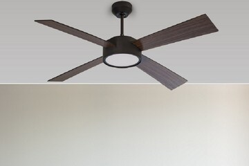 বাজারে এল নতুন স্মার্ট সিলিং ফ্যান ! TV-র মতো করবে কাজ, দেখুন ছবি