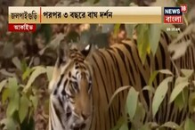 পরপর ৩ বছরে ৩ বার, ফের ট্রাপ ক্যামেরায় ধরা পড়লো বাঘের ছবি পরপর ৩ বছরে ৩ বার, ফের ট্রাপ ক্যামেরায় ধরা পড়লো বাঘের ছবি