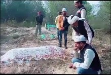 নাগরিকত্বের প্রমাণ জোগাড়ে দল বেঁধে কবরস্থানে হাজির কংগ্রেস নেতা ! ভাইরাল ভিডিও নাগরিকত্বের প্রমাণ জোগাড়ে দল বেঁধে কবরস্থানে হাজির কংগ্রেস নেতা ! ভাইরাল ভিডিও