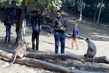 নিউ ইয়ার সেলিব্রেশনে মাতল হনুমানের দল!