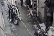 জলান্ধরে পিটবুলের কামড়ে গুরুতর আহত ১২ বছরের কিশোরের