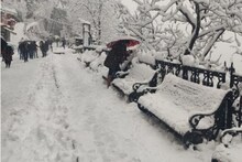 রাস্তা জুড়ে শুধুই বরফ, সিমলায় জমিয়ে তুষারপাত