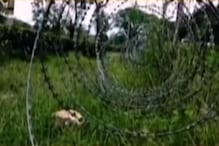 চা বাগান ঘেরা কাঁটাতার বেড়ায়, উত্তরবঙ্গে ব্লেডতারের দাপটে আহত বন্যপ্রাণ চা বাগান ঘেরা কাঁটাতার বেড়ায়, উত্তরবঙ্গে ব্লেডতারের দাপটে আহত বন্যপ্রাণ