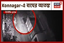 রাস্তায় দাপিয়ে বেড়াচ্ছে ডোরাকাটা চারপেয়ে,কোন্ননগরে এ কী, দেখুন ভিডিও রাস্তায় দাপিয়ে বেড়াচ্ছে ডোরাকাটা চারপেয়ে,কোন্ননগরে এ কী, দেখুন ভিডিও