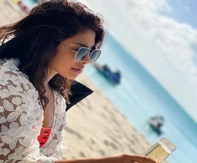 লাস্যময়ী প্রিয়াঙ্কা চোপড়া ৷ ছবি সংগৃহীত ৷