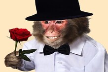 Happy Valentines Day, Valentine Week 2020 : প্রেমদিবসে হনুমানের জন্য লাফিয়ে দাম বাড়ছে গোলাপের