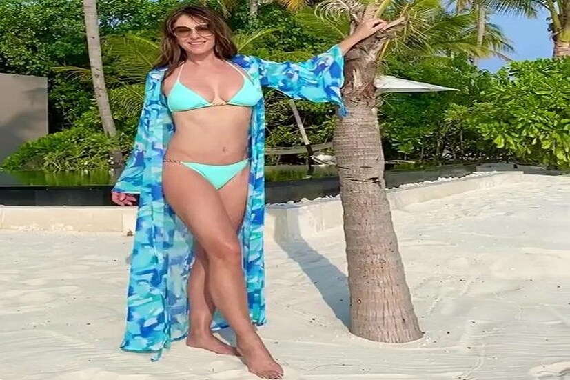 এক সময় তিনি ছিলেন ভারতীয় ব্যবসায়ী অরুণ নায়ারের স্ত্রী৷ ২০০৭ সালে তাঁদের বিবাহবিচ্ছেদ হয়ে যায়৷ লিজ হার্লে নামেই তিনি বেশি পরিচিত৷ এ হেন লিজ হার্লে বিকিনি পরে ফটোশ্যুট করলেন৷  ইনস্টাগ্রামে যা এই মুহূর্তে তোলপাড়৷