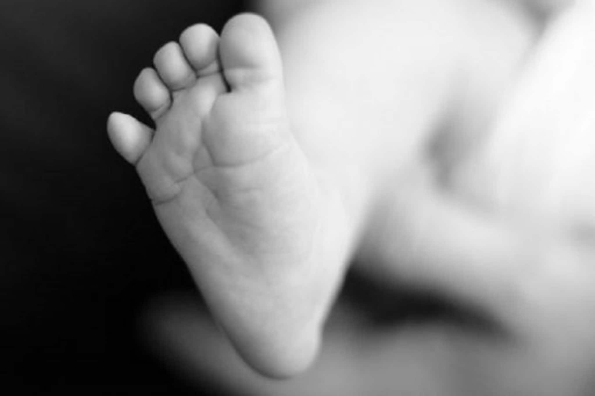 ৫৬-এ প্রথমবার বাবা হলেন বিশ্বখ্যাত পরিচালক, বউয়ের বয়স মাত্র ৩৬, দেখুন...