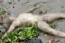 আবার কিডনি পাচার চক্র সক্রিয় ! গঙ্গার ঘাটে ভেসে এল সেলাই করা দেহ