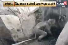 বোল্ডারের মাঝে আটকে হাতির ছানা, উদ্ধারকাজের মাঝেই মা হাতি এসে পড়ায় বিপত্তি