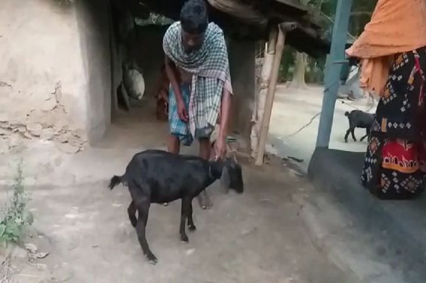 খাসির মাংসের ক্ষেত্রে অবশ্য লকডাউনের পর থেকেই দাম একটু একটু করে বাড়ছিল৷ কারণ সরবরাহ কমে এসেছিল৷ আমফানের পর তা আরও বৃদ্ধি পেয়েছে৷ খাসির মাংসের ক্ষেত্রে অবশ্য লকডাউনের পর থেকেই দাম একটু একটু করে বাড়ছিল৷ কারণ সরবরাহ কমে এসেছিল৷ আমফানের পর তা আরও বৃদ্ধি পেয়েছে৷