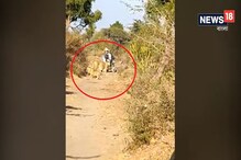 #Viral : বাইকে চেপে রাস্তা দিয়ে যাচ্ছিলেন, শাবক নিয়ে হাজির সিংহ পরিবার! #Viral : বাইকে চেপে রাস্তা দিয়ে যাচ্ছিলেন, শাবক নিয়ে হাজির সিংহ পরিবার!