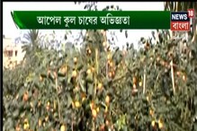 আপেল ও কুল চাষের উন্নত পদ্ধতি, দেখুন ভিডিও-- আপেল ও কুল চাষের উন্নত পদ্ধতি, দেখুন ভিডিও--