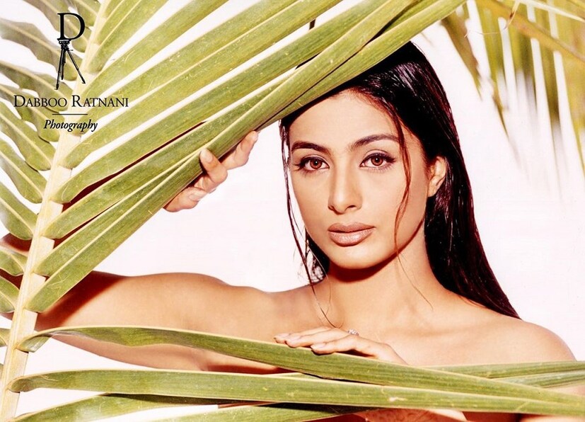 এই অভিযোগ ওঠার পর ডাব্বু জানান যে  ২০০১ সালে তিনি তাব্বুর সঙ্গে একটি ফটোশ্যুট করেছিলেন। যা ২০০২ সালে তাঁর ক্যালেন্ডারে প্রকাশিত হয়। আর সেই ফটোশ্যুটকেই নতুন রূপ দিয়েছেন তিনি। তিনই বারবার উল্লেখ করেছেন যে এটা তাঁর নিজের করা ফটোশ্যুটের Concept-এরই যে পুনরাবৃত্তি। 