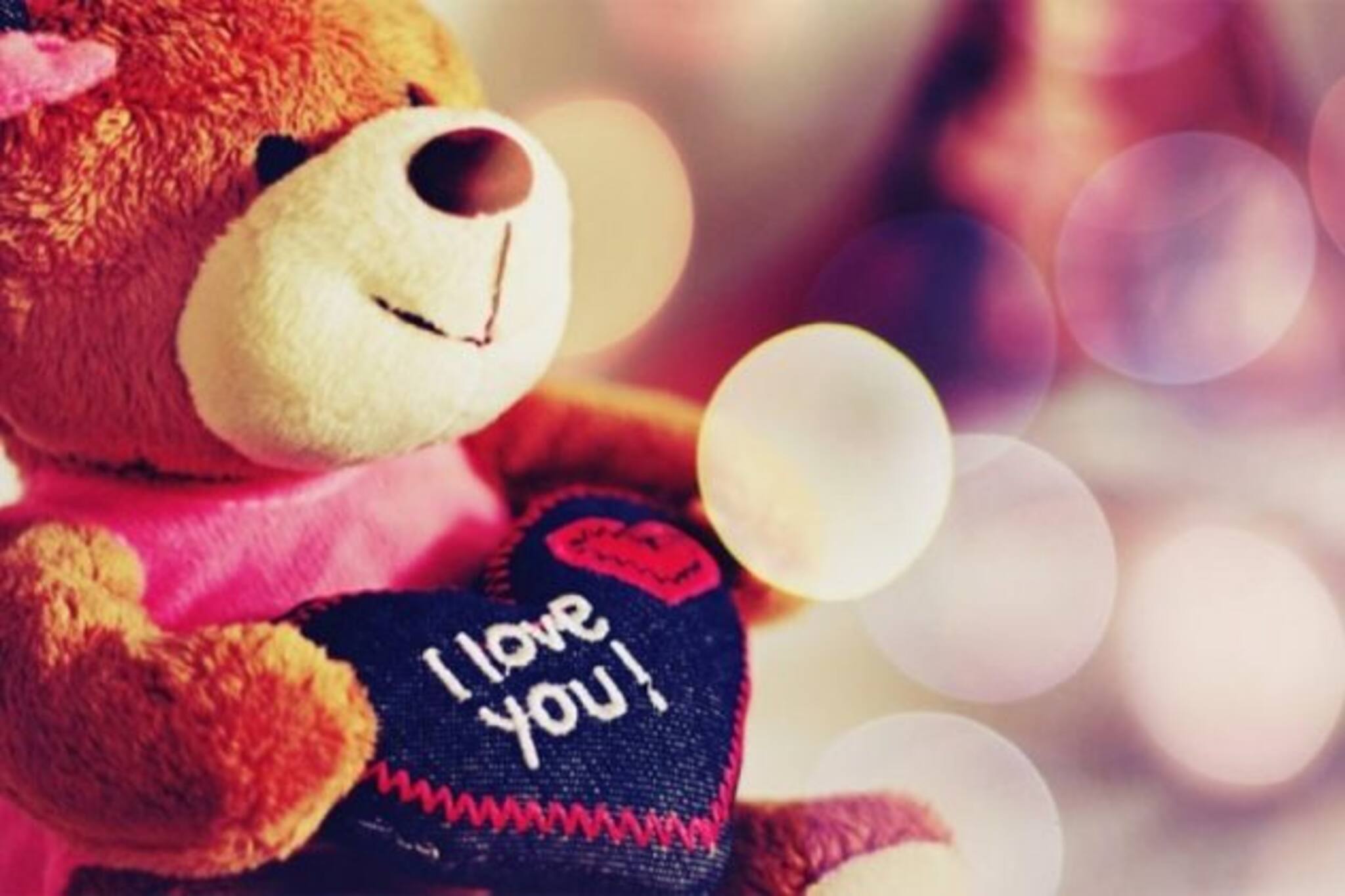 Happy teddy day, Valentines Week: টেডিতে বাড়ুক প্রেম...