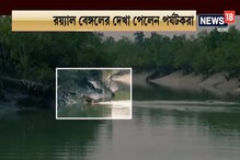 সুন্দরবনে রয়্যাল বেঙ্গলের দেখা পেলেন পর্যটকরা সুন্দরবনে রয়্যাল বেঙ্গলের দেখা পেলেন পর্যটকরা