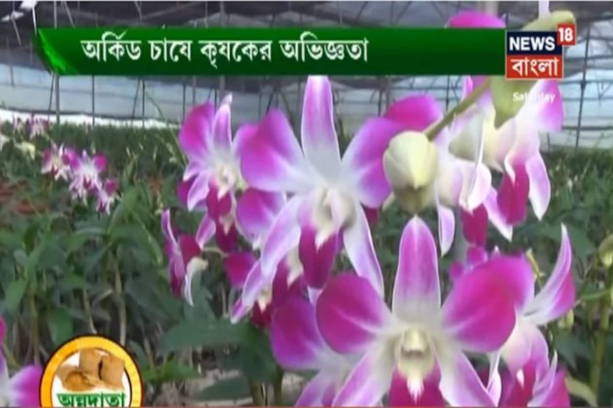 বিজ্ঞানসম্মত উপায়ে অর্কিড চাষের পদ্ধতি জানতে দেখুন অন্নদাতা