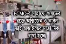 পুলকার দুর্ঘটনা: ঋষভের অবস্থা আরও খারাপ, চিন্তায় ডাক্তাররা, দেখুন... পুলকার দুর্ঘটনা: ঋষভের অবস্থা আরও খারাপ, চিন্তায় ডাক্তাররা, দেখুন...