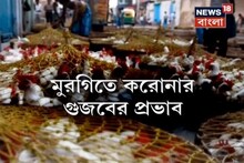 মুরগিতে করোনাভাইরাস! গুজবে মুরগির মাংসের দাম তলানিতে, দেখুন ভিডিও