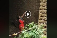 মহিলার আসাধারণ কৃতিত্ব, অনেক উঁচুতে লাফিয়ে বিশাল আকারের ঘুঁটে দিয়ে ভাইরাল