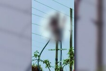 বিদ্যুতের তারে দাউ দাউ করে জ্বলে উঠলো যুবক! জ্বলন্ত মানুষ দেখে পালাল সহকারীরা