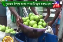 পেয়ারা চাষ কী ভাবে করলে আরও বিপুল লাভ? জানাচ্ছেন বিশেষজ্ঞ পেয়ারা চাষ কী ভাবে করলে আরও বিপুল লাভ? জানাচ্ছেন বিশেষজ্ঞ