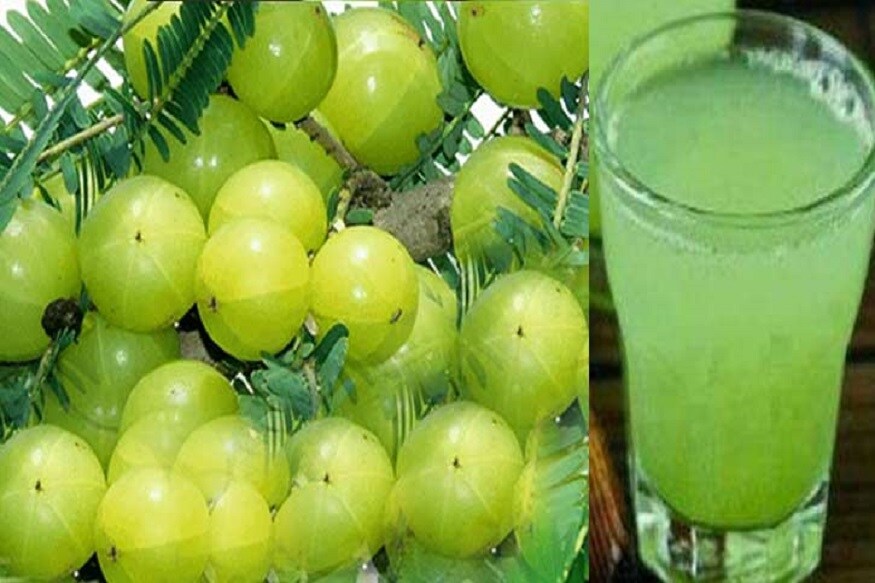 আমলকি অত্যন্ত গুরুত্বপূর্ণ ফল ৷ ভেষজ চিকিৎসায় আমলকির অনেক গুণ রয়েছে ৷ আমলকিতে অনেক পরিমাণে ভিটামিন সি রয়েছে ৷ প্রতীকী ছবি ৷ আমলকি অত্যন্ত গুরুত্বপূর্ণ ফল ৷ ভেষজ চিকিৎসায় আমলকির অনেক গুণ রয়েছে ৷ আমলকিতে অনেক পরিমাণে ভিটামিন সি রয়েছে ৷ প্রতীকী ছবি ৷