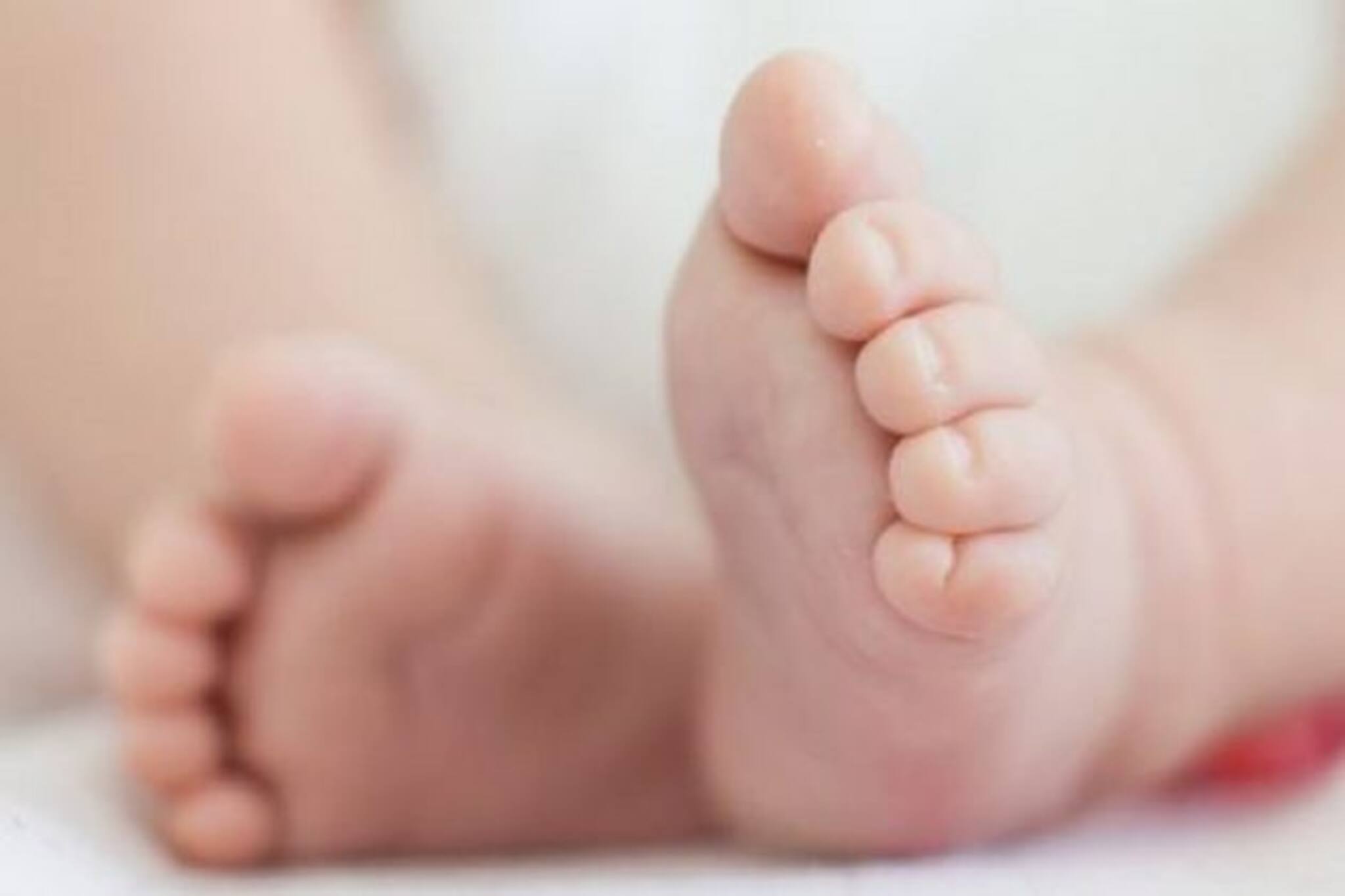 NRS সুতোকাণ্ডে নজরে ৩ সংস্থা, সুতো সরবরাহকারী ২ সংস্থার খোঁজ