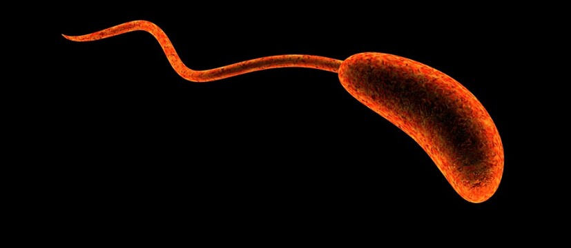 কলেরা: গত ২০০ বছরে বারে বারেই অতিমারির আকার নিয়ে ফিরে এসেছে কলেরা। ১৮১৭ সালে প্রথম কলেরা ছড়ায় এই রাজ্যে, তার পর তা ছড়িয়ে পড়ে সারা ভারতে। কয়েক হাজার ভারতীয় এবং ব্রিটিশের মৃত্যু হয়। সাত বার অতিমারির আকার নিয়ে এ বিশ্বে ফিরে এসেছে কলেরা। সবচেয়ে ভয়াবহ আকার নিয়েছিল ষষ্ঠ কলেরা অতিমারি, ১৮৯৯ সালে। শুধুমাত্র ভারতেই মৃত্যু হয়েছিল 8 লক্ষ মানুষের। মৃত্যুলীলা চলেছিল পশ্চিম ইউরোপ, রাশিয়া, উত্তর আফ্রিকাতেও।