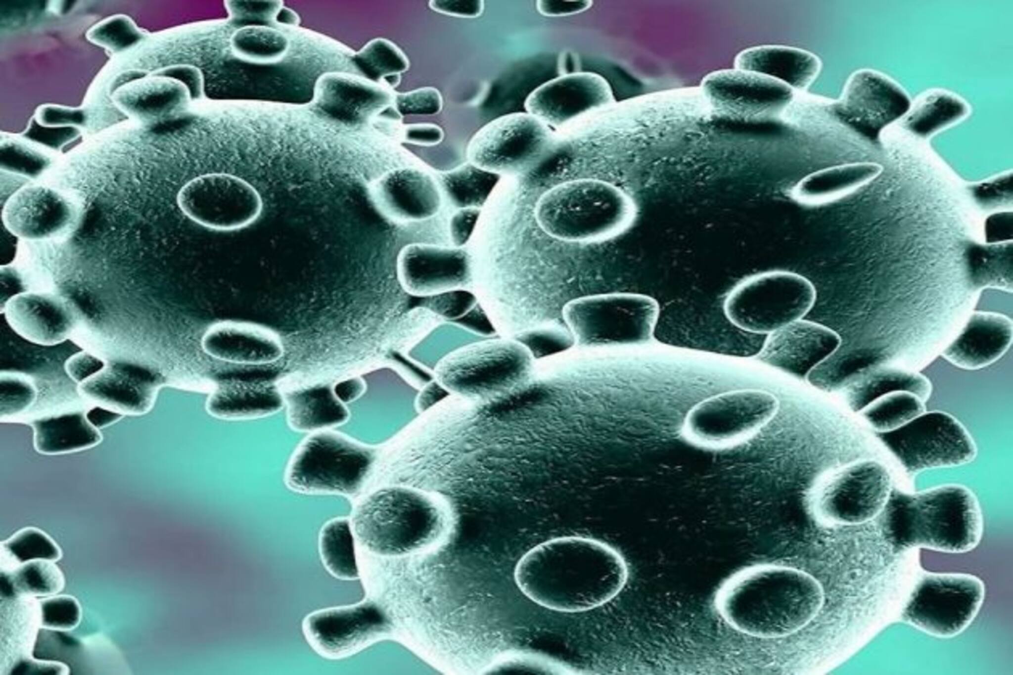 করোনা মোকাবিলায় সতর্ক স্কুল, পড়ুয়াদের মাস্ক, স্যানিটাইজার ব্যবহারের নির্দেশ