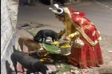 Viral: বিয়ে শেষ হতেই খাবারের বালতি হাতে কনে ! ‘ডিনার’ করালেন রাস্তার কুকুরদের Viral: বিয়ে শেষ হতেই খাবারের বালতি হাতে কনে ! ‘ডিনার’ করালেন রাস্তার কুকুরদের
