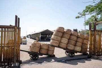 করোনা নিয়ে সরকারের 'প্ল্যান বি' তৈরি, প্রয়োজনে দ্বিতীয় লকডাউন করোনা নিয়ে সরকারের 'প্ল্যান বি' তৈরি, প্রয়োজনে দ্বিতীয় লকডাউন