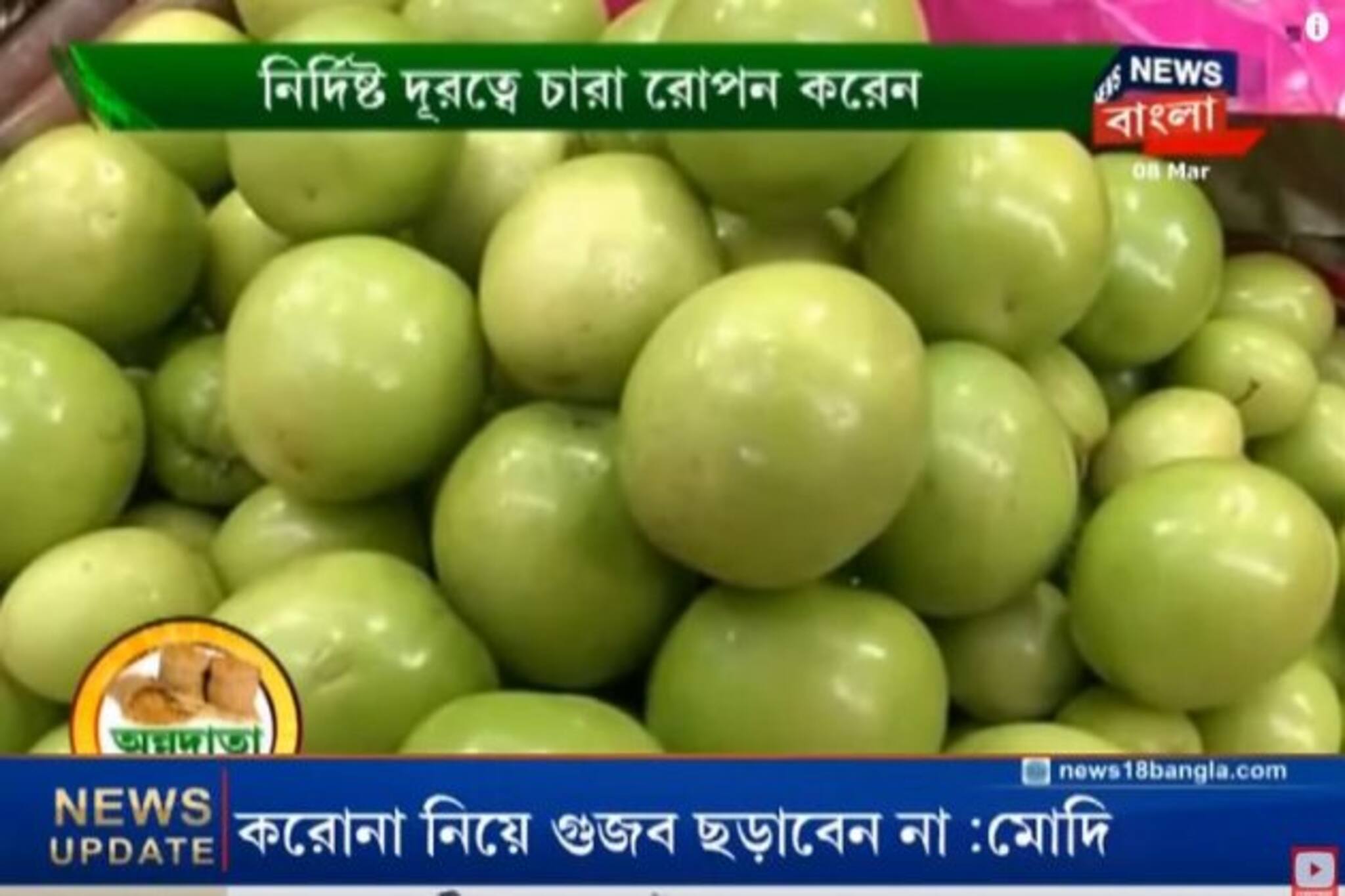 আপেল কুলের উন্নত চাষ পদ্ধতির অভিজ্ঞতা জানালেন কৃষকবন্ধু