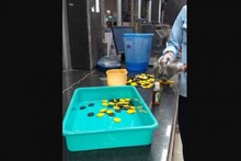 Coronavirus| জল-সাবান নিয়ে টোকেন "শুদ্ধিকরণ" মেট্রোতে